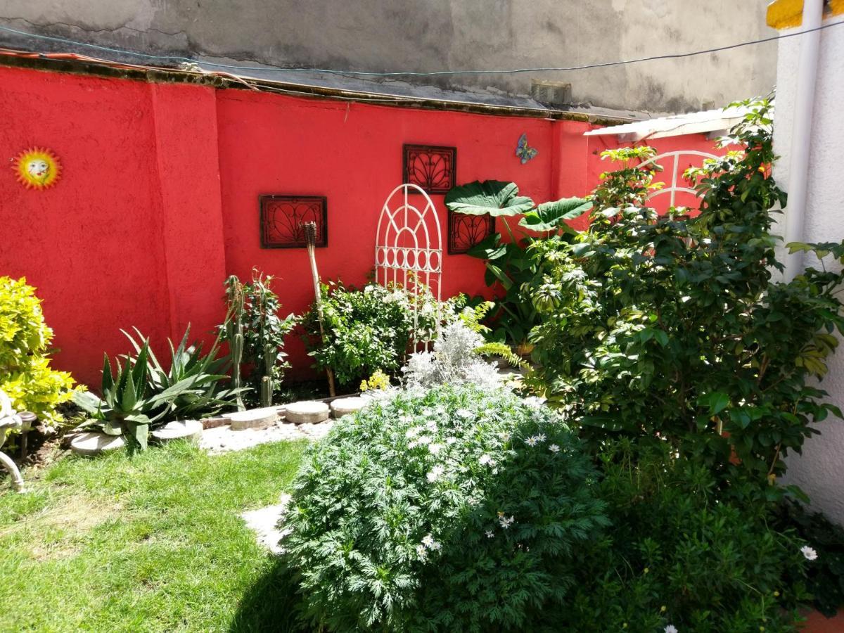 Anys Hostal Mexico Extérieur photo